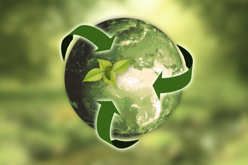 Reciclagem de Embalagens de Medicamentos: Guia Completo para um Descarte Sustentável